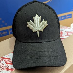 Toronto Raptors - New Era 39Thirty Hat